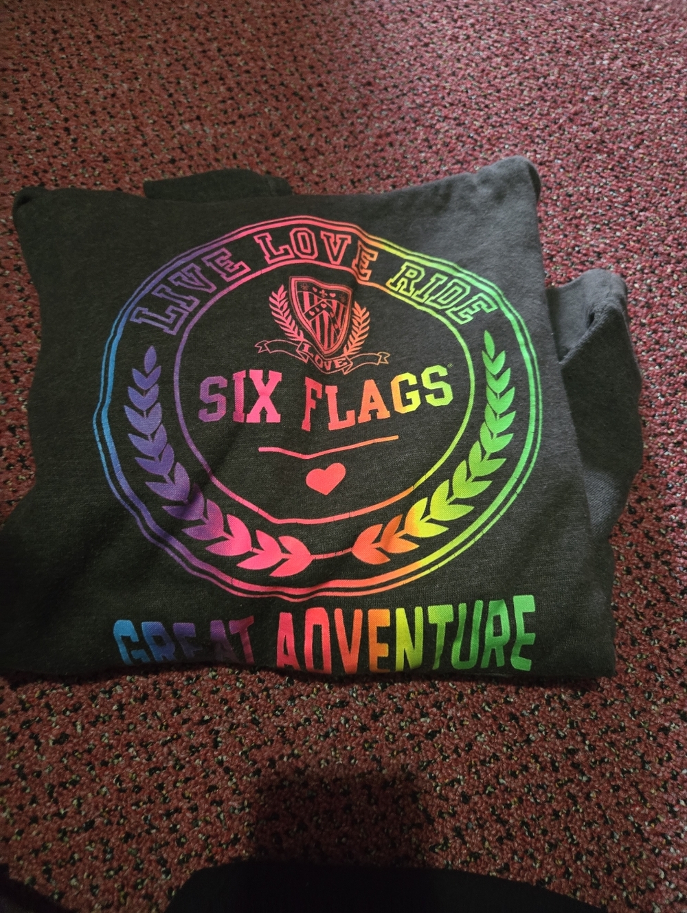 Black Hoodie with Rainbow Logo